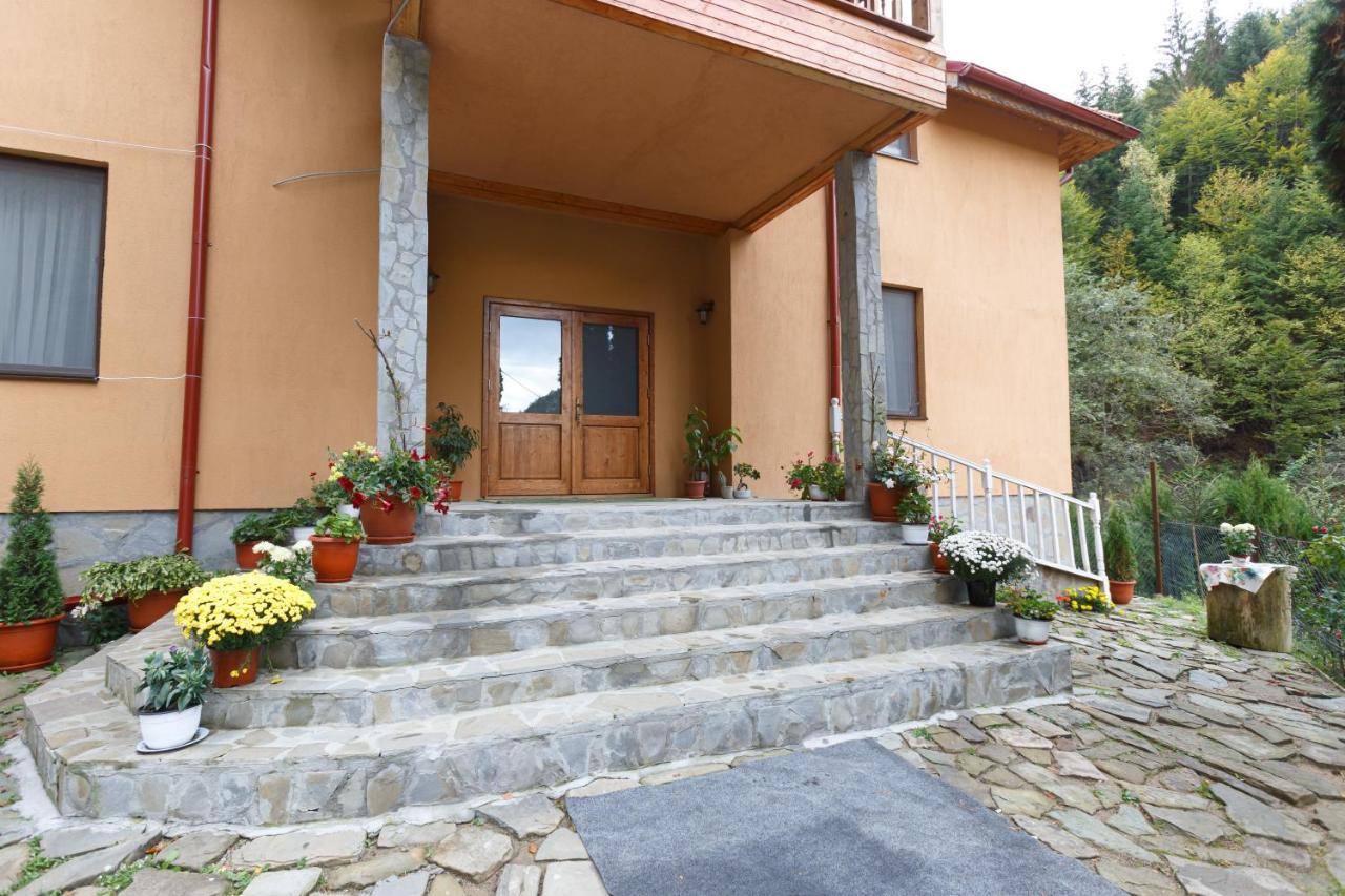 Pensiunea Casoca-Cascada Siriu Extérieur photo